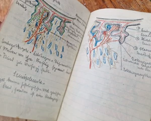 antik Büchlein Medizin Zeichnungen Skizzen 1920 Manuskript über 100 Seiten - Picture 1 of 24