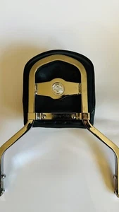 Harley Davidson Chrome Rigid Sissy Bar 06-17 FLSTF HD Mini Medallion - Foto 1 di 7