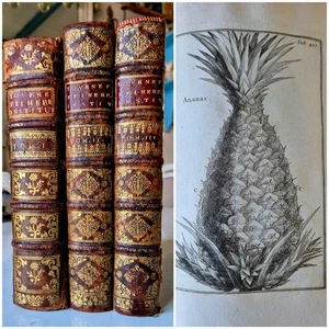 3 RARE BOTANIC BOOKS 1719 INSTITUTIONES REI HERBARIAE, 489 engravings of plants - Picture 1 of 24