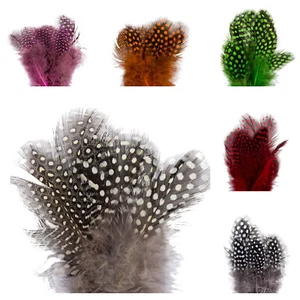 18 x Plumas de Guineafowl 4-8 cm Artesanías Álbumes de recortes Hacer tarjetas Adornos - Imagen 1 de 6