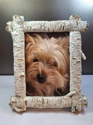 Marco de fotos de madera de abedul 5x7 vidrio frontal mesa perros fotos recuerdos Foto 1 de 4