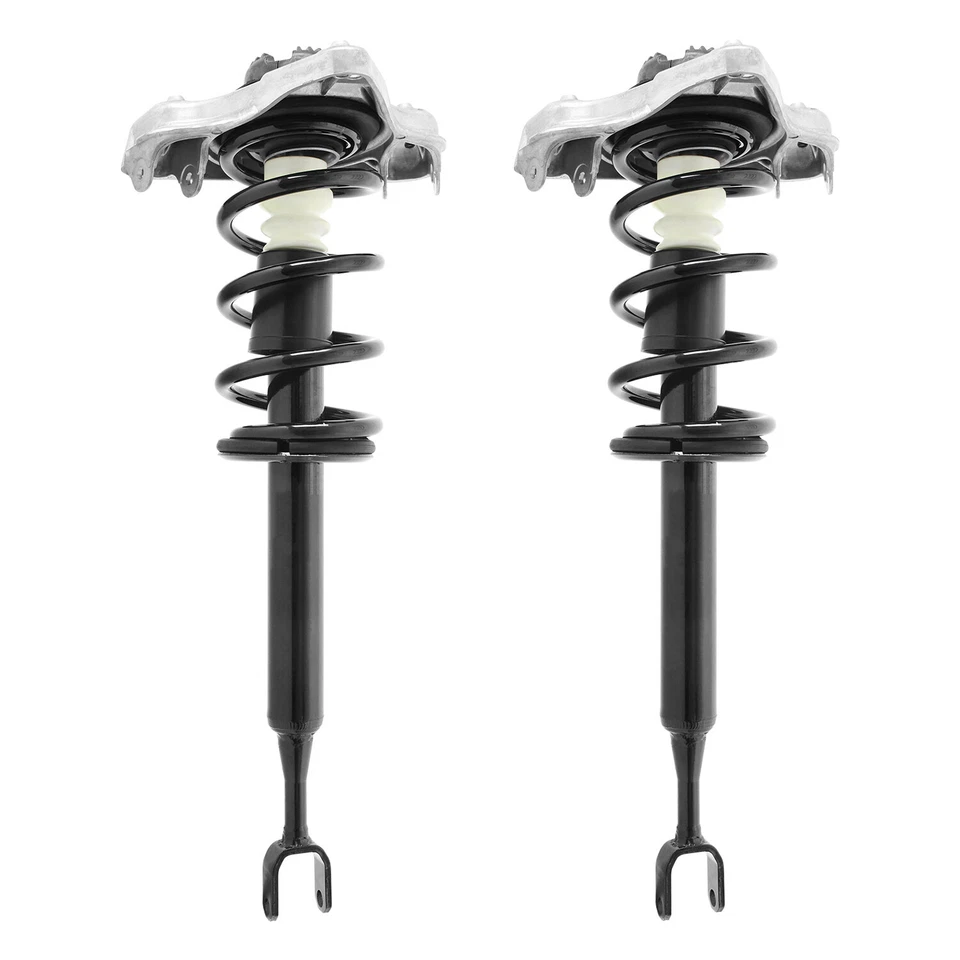 Front Pair Complete Struts & Coil Springs for Audi A4 A4 Quattro — 第 1/1 张图片
