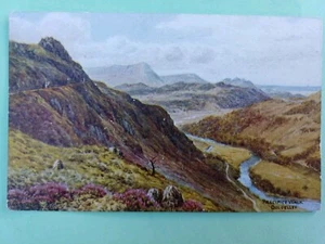 POST CARD SALMON AR QUINTON 2299 PRECIPICE WALK DOLGELLEY - Picture 1 of 2