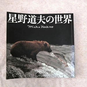 Michio Hoshino's World, Asahi Shimbunsha. *Free shipping, instant purchase - Imagen 1 de 7