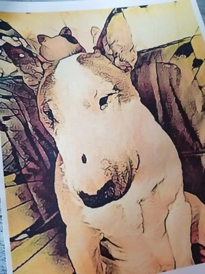 Impresión artística de retrato de perro Bull Terrier 8x10 - Retrato de mascota  Foto 1 de 2