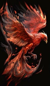 Blechschild Vögel Phoenix 30 x 20 cm - Bild 1 von 4