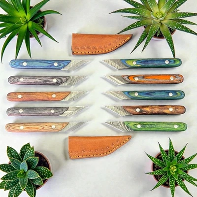 Cuchillos Kiridashi | Lote de 10 | Acero Damasco | Mango de resina y madera Pakka | D1078 Foto 1 de 4