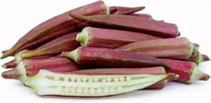 Okra (Red Burgundy) 285+ Seeds (Abelmoschus Esculentus) Instructions Included x - Picture 1 of 5