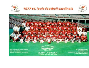 1977 ST. LOUIS CARDINALS 8X10 TEAM PHOTO MISSOURI FOOTBALL NFL - Picture 1 of 1