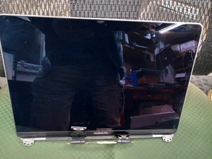 Macbook Pro 13" A2159 A1989 A2289 2018 2019 conjunto de pantalla LCD gris - Imagen 1 de 14