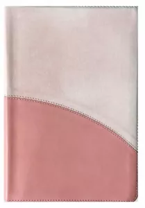 Holman CSB Rainbow Bible; 2017; Pink Leather Touch; 10 Point Font - Imagen 1 de 6