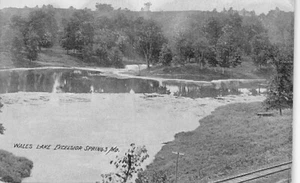 Postal MO: Wales Lake, Excelsior Springs, Missouri, foto base de datos de 1910 - Imagen 1 de 2