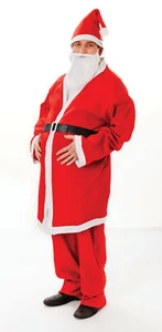 Adult Costume - Santa Budget (Felt) - Picture 1 of 1
