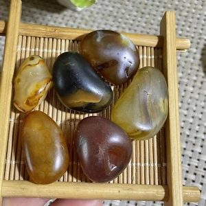 6pc 48g Bonsai Suiseki-Natural Gobi Agate Eyes Stone-Rare Stunning Viewing - Picture 1 of 9