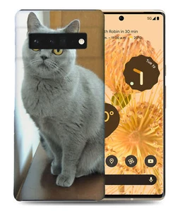 CASE COVER FOR GOOGLE PIXEL|BRITISH SHORTHAIR CAT 22 - Picture 1 of 11