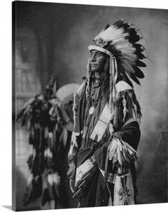 Chief Bull Native American Indian Canvas Wrapped 16 x 20 Vintage 1800s Photo Art - Picture 1 of 3