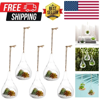 Paquete ligero de 5 contenedores de terrario de vidrio - Elegante decoración interior/exterior Foto 1 de 4