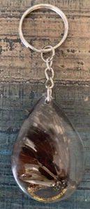 Butterfly Keychain Vintage  - Picture 1 of 3