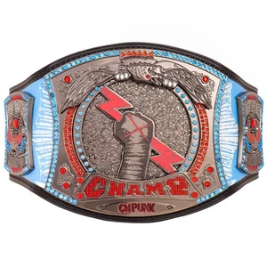CM Punk 434-Day WWE Spinner Championship Belt Brass, Customizable, Free Ship - Picture 1 of 6