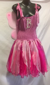 Barbie Fairy Costume - Picture 1 of 8