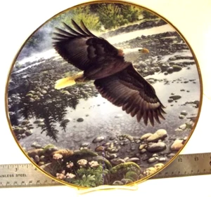 1991 SEASONS OF THE BALD EAGLE "SPRING ON THE RIVER" HAMILTON COLLECTION PLATE - Imagen 1 de 3