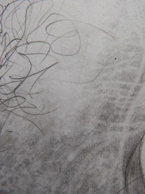 Pencil Drawing NSFW Male Nude Phallus Hand Drawn Penis Fine Art Illustration - Image 1 of 4