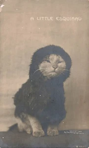 RPPC CAT DRESSED IN FUR COAT LITTLE ESKIMAU 1906 ROTOGRAPH POSTCARD 082525 U - Picture 1 of 2
