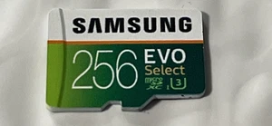 Carte Micro SD XC Samsung EVO Select 256 Go - Photo 1 sur 2