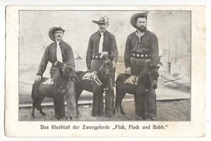 Zirkus Artisten m. Zwerg Pferden Circus cowboys with little horses 1908 - Picture 1 of 2