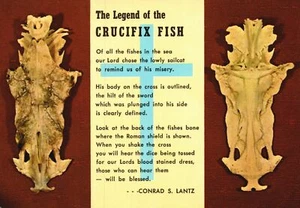 Cartolina La Leggenda del Crocifisso Pesce Poesia di Conrad S. Lantz Gulfport Marine - Foto 1 di 2