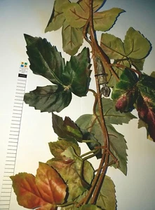 Autumn Leaves Cache Container for Geocaching comes with Log Book Free Shipping - Picture 1 of 1