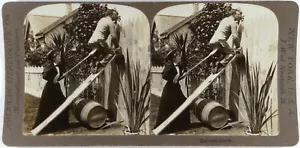 Usa.Etats-Unis.Eavesdroppers.Ecouteurs.Scène de Genre.Photo American Stereo Co. - Foto 1 di 2