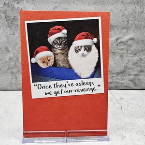 Recycled Paper Greetings Christmas Card Cats Santa Outfits Revenge Humor 5x7 - Picture 1 of 5