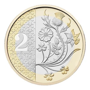 RARA MONETA DA 2 STERLINE NIFC 2024 KING CHARLES III BUNC FIORI - Foto 1 di 14