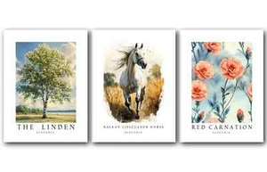 Slovenia National Symbols, Set of 3 Poster Prints, Wall Art Home Décor, Unframed - Picture 1 of 7