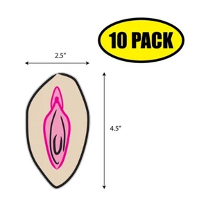 10 PACK 4.5" x 2.5" VAGINA CLIPART PUSSY Sticker Decal Humor Funny Gift VG0068 - Bild 1 von 2