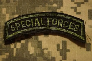 Pestaña de las Fuerzas Especiales del Ejército de EE. UU. - Imagen 1 de 1