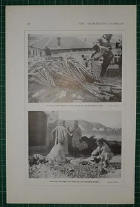 1916 WWI WW1 Estampado ~ Búlgaro Rifles Capturado Macedonio Frontal ~ Cartuchos - Imagen 1 de 1