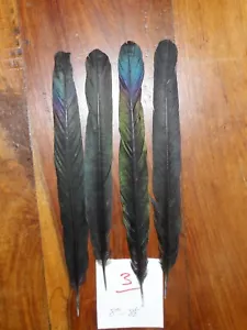 4 MAGPIE CENTER TAIL FEATHERS 8" to 8.5"  NATIVE AMERICAN FLY TYING ART&CRAFT  - Picture 1 of 7
