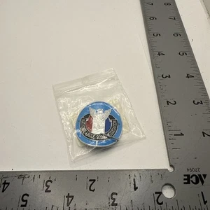 NESA National Eagle Scout Association Stabschild BSA Pfadfinder - Bild 1 von 2