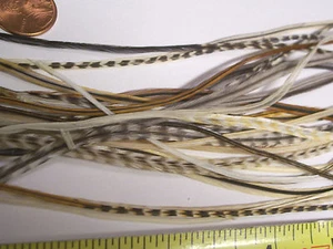 25 Natural 7 - 9+" WHITING GRIZZLY LONG MIX SADDLE HACKLE FLY TYING FEATHERS - Picture 1 of 1