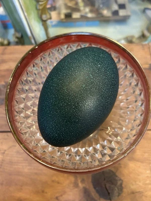 Emu Egg - Conchas limpias decorativas sopladas para exhibición o artesanía Foto 1 de 3