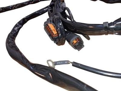 Harley-Davidson Electra Glide 2004 arnés superposición de audio 70160-04A - nuevo OEM Foto 1 de 4