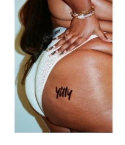 NWT - YITTY Ivory Microfiber Bikini Brief Panties Sz 3x - RETAIL: $39.95 - Picture 1 of 4