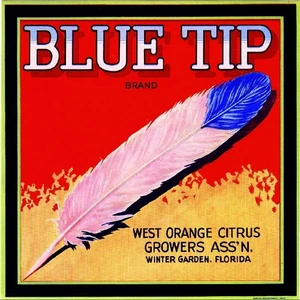 F01 Winter Garden Florida Feather Citrus Fruit Crate Label Refrigerator Magnet - Picture 1 of 1