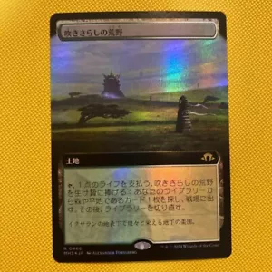 Foil Windswept Heath Full Art MH3 MTG JPN Modern Horizons3 NM - Picture 1 of 2