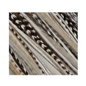 4-6 inch Zebra Black White 100% Real Hair 5 Feather Extensions bonded at the tip - Picture 1 of 5