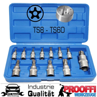 12-tlg Fünfstern TORX IPR Sicherheits Bits Stecknuss Steckschlüssel Set TS8-TS60