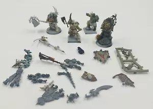 Death Maggotkin Putrid Blightking Models and Bits Nurgle Warhammer AoS 40K - Bild 1 von 4