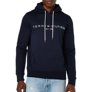 tommy hilfiger hoodie sale